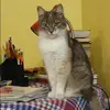 Отзыв от Кристина Архипова